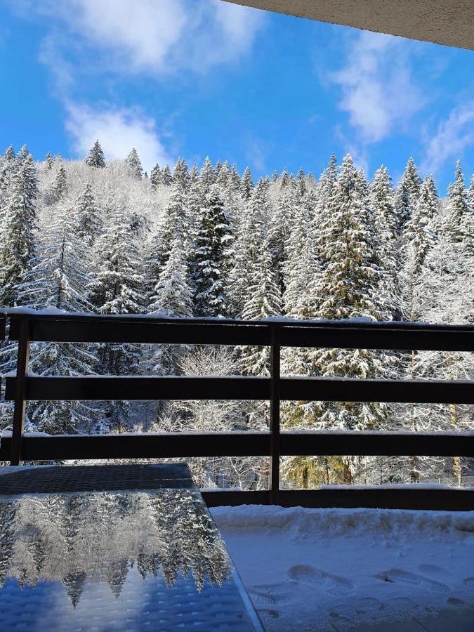 Apartament Ozon Poiana Brasov Eksteriør billede