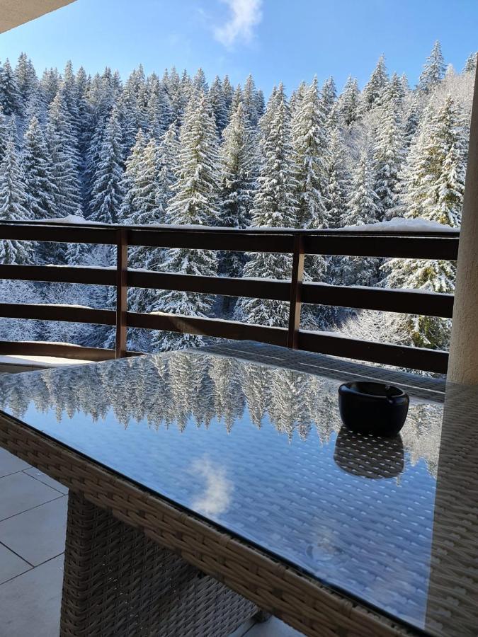 Apartament Ozon Poiana Brasov Eksteriør billede