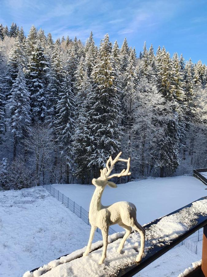 Apartament Ozon Poiana Brasov Eksteriør billede