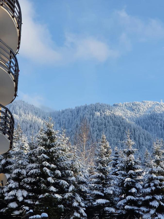 Apartament Ozon Poiana Brasov Eksteriør billede