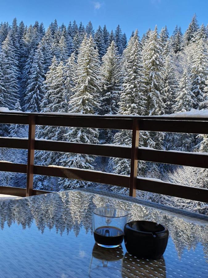 Apartament Ozon Poiana Brasov Eksteriør billede